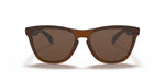 Oakley Sunglasses - Frogskins